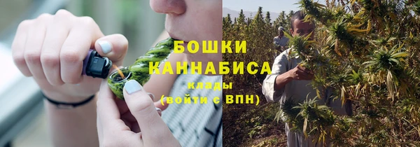 mix Белокуриха